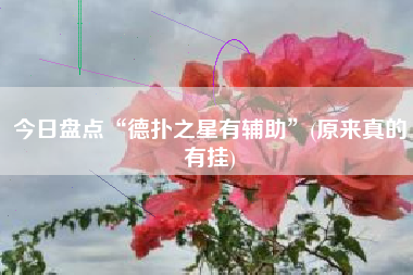 今日盘点“德扑之星有辅助”(原来真的有挂)
