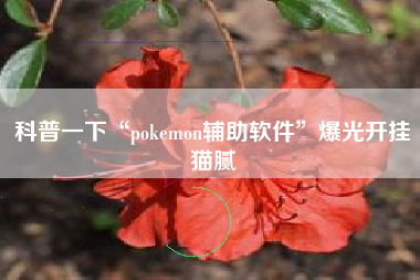 科普一下“pokemon辅助软件	”爆光开挂猫腻