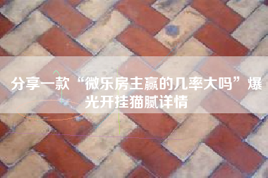 分享一款“微乐房主赢的几率大吗	”爆光开挂猫腻详情