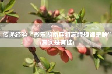 传递经验“微乐湖南麻将赢牌规律是啥”(其实是有挂)