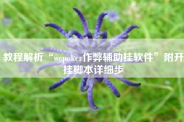 教程解析“wepoker作弊辅助挂软件	”附开挂脚本详细步