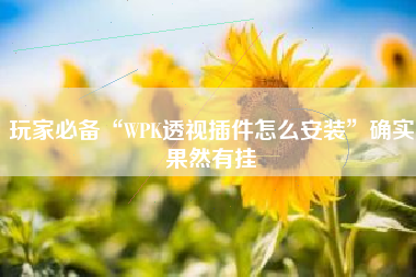 玩家必备“WPK透视插件怎么安装”确实果然有挂