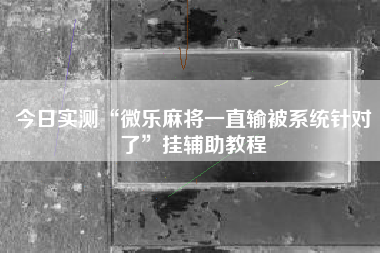今日实测“微乐麻将一直输被系统针对了”挂辅助教程