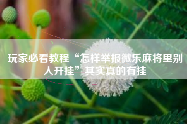 玩家必看教程“怎样举报微乐麻将里别人开挂”其实真的有挂