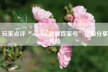 玩家点评“wepoker透视百家号”详细分享开挂