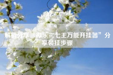 解析分享“微乐二七王万能开挂器	”分享装挂步骤