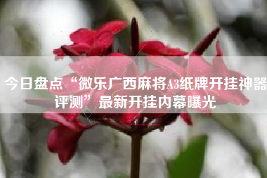 今日盘点“微乐广西麻将A3纸牌开挂神器评测”最新开挂内幕曝光