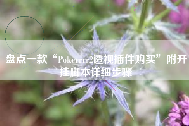 盘点一款“Pokerrrr2透视插件购买	”附开挂脚本详细步骤