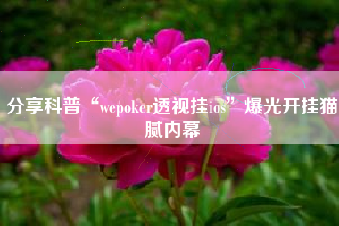 分享科普“wepoker透视挂ios”爆光开挂猫腻内幕