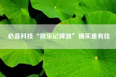 必备科技“微乐记牌器”确实是有挂