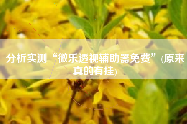 分析实测“微乐透视辅助器免费	”(原来真的有挂)