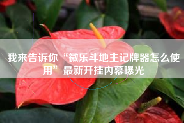 我来告诉你“微乐斗地主记牌器怎么使用	”最新开挂内幕曝光