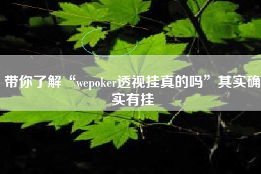 带你了解“wepoker透视挂真的吗”其实确实有挂
