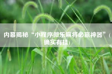 内幕揭秘“小程序微乐麻将必赢神器	”(确实有挂)