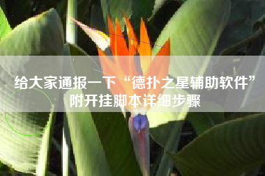 给大家通报一下“德扑之星辅助软件”附开挂脚本详细步骤