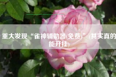 重大发现“雀神辅助器(免费)”(其实真的能开挂)