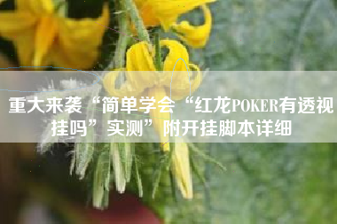 重大来袭“简单学会“红龙POKER有透视挂吗”实测”附开挂脚本详细