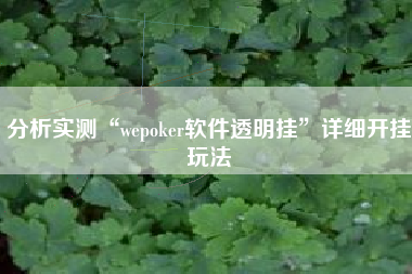 分析实测“wepoker软件透明挂”详细开挂玩法