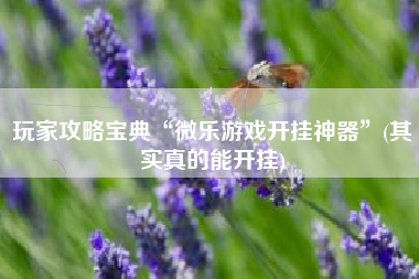 玩家攻略宝典“微乐游戏开挂神器”(其实真的能开挂)