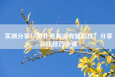 实测分享“微扑克有没有辅助挂”分享装挂技巧步骤
