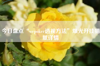今日盘点“wepoker透视方法”爆光开挂猫腻详情