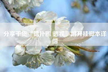 分享干货“德扑圈 透视”附开挂脚本详细