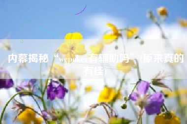 内幕揭秘“wepoker有辅助吗”(原来真的有挂)