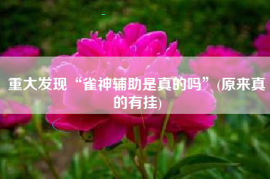 重大发现“雀神辅助是真的吗”(原来真的有挂)