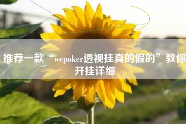 推荐一款“wepoker透视挂真的假的	”教你开挂详细