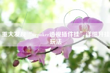 重大发现“wepoker透视插件挂”详细开挂玩法