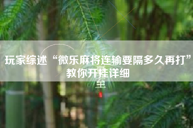 玩家综述“微乐麻将连输要隔多久再打”教你开挂详细