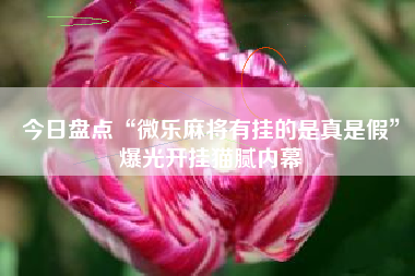 今日盘点“微乐麻将有挂的是真是假”爆光开挂猫腻内幕