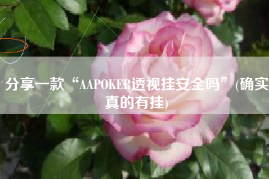 分享一款“AAPOKER透视挂安全吗”(确实真的有挂)