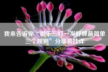 我来告诉你“微乐三打一发好牌最简单三个规则	”分享装挂详