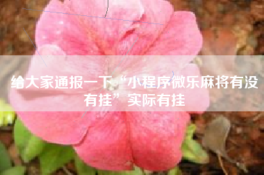 给大家通报一下“小程序微乐麻将有没有挂	”实际有挂