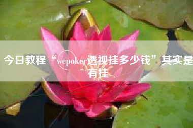 今日教程“wepoker透视挂多少钱”其实是有挂