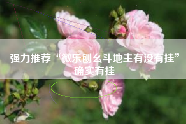 强力推荐“微乐刨幺斗地主有没有挂”确实有挂