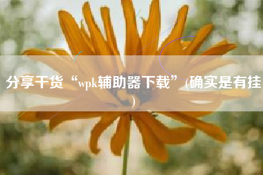 分享干货“wpk辅助器下载	”(确实是有挂)