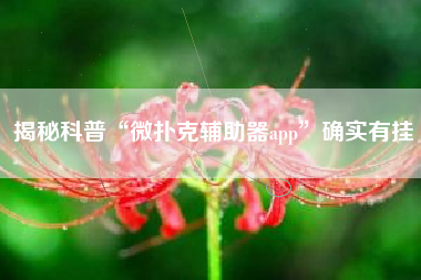 揭秘科普“微扑克辅助器app”确实有挂