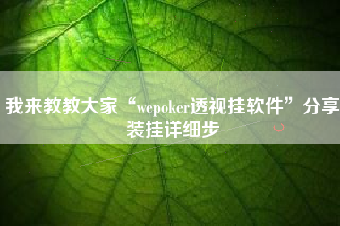 我来教教大家“wepoker透视挂软件”分享装挂详细步