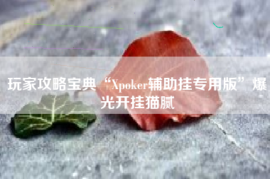 玩家攻略宝典“Xpoker辅助挂专用版”爆光开挂猫腻