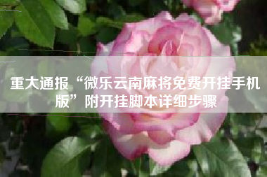 重大通报“微乐云南麻将免费开挂手机版	”附开挂脚本详细步骤