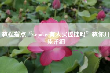 教程指点“wepoker有人买过挂吗”教你开挂详细