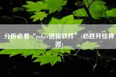 分析必看“poker透视软件	”(必胜开挂神器)