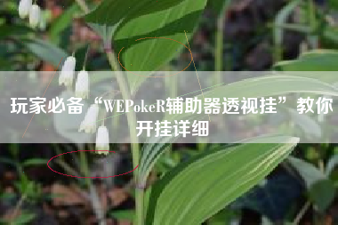 玩家必备“WEPokeR辅助器透视挂”教你开挂详细