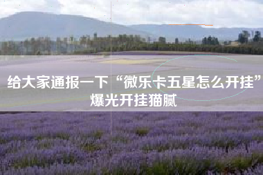 给大家通报一下“微乐卡五星怎么开挂”爆光开挂猫腻