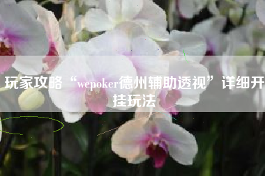 玩家攻略“wepoker德州辅助透视”详细开挂玩法