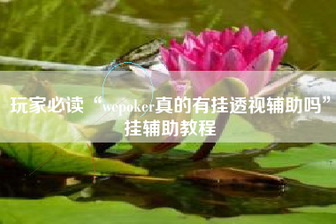 玩家必读“wepoker真的有挂透视辅助吗	”挂辅助教程