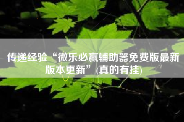 传递经验“微乐必赢辅助器免费版最新版本更新	”(真的有挂)