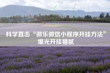 科学直击“微乐微信小程序开挂方法”爆光开挂猫腻